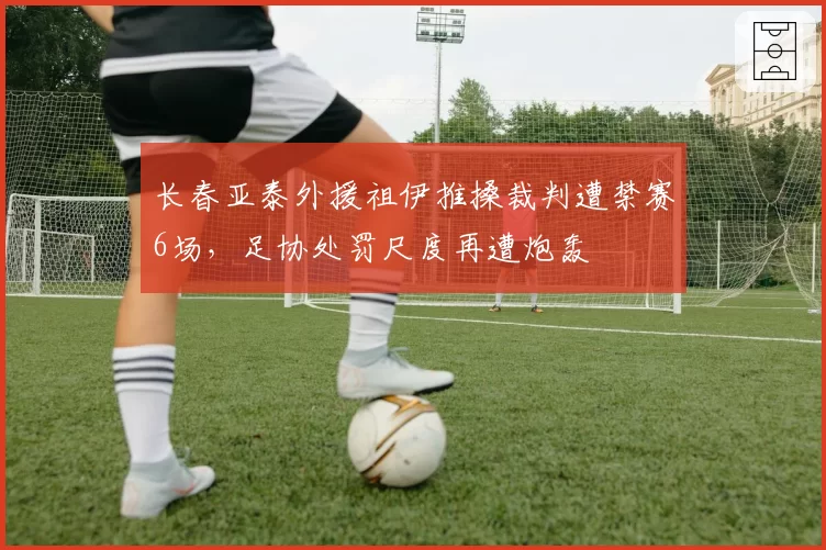 长春亚泰外援祖伊推搡裁判遭禁赛6场，足协处罚尺度再遭炮轰