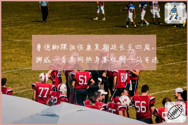 鲁德脚踝扭伤康复期延长至四周,挪威一哥美网热身赛仅剩一站可选择