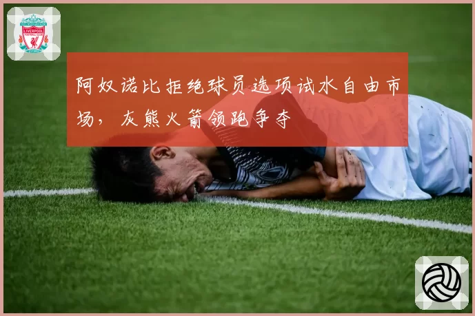 阿奴诺比拒绝球员选项试水自由市场,灰熊火箭领跑争夺